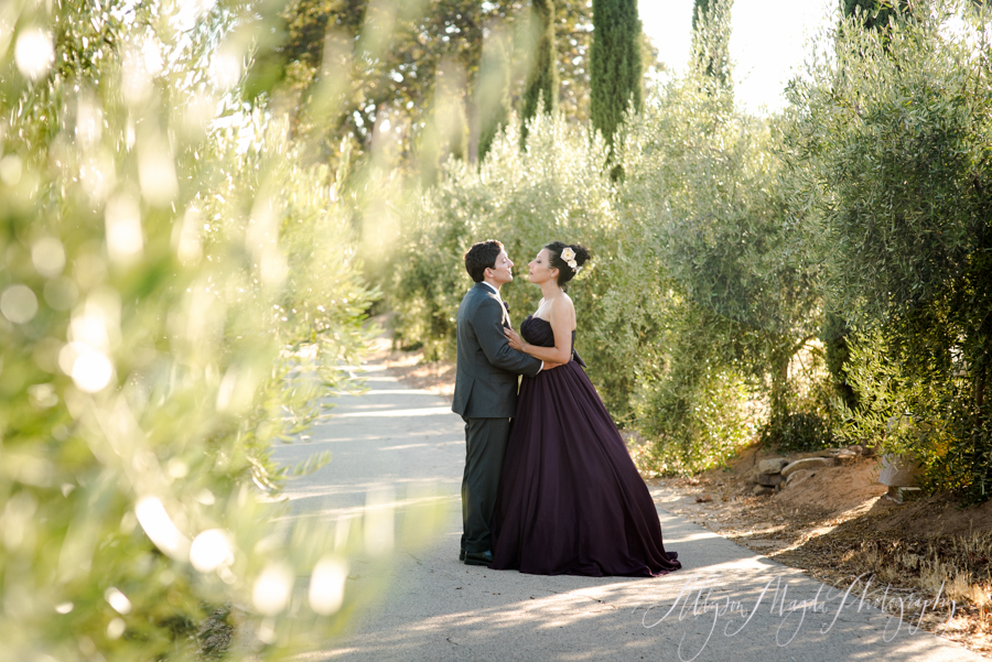 paso robles winery wedding photographer