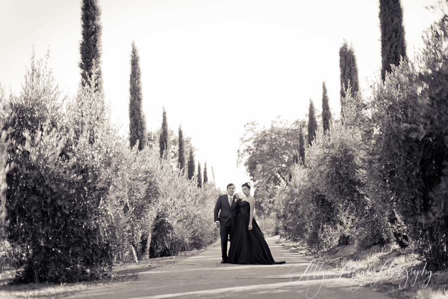 paso robles winery wedding photographer