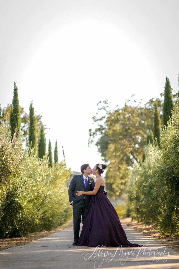 paso robles winery wedding photographer