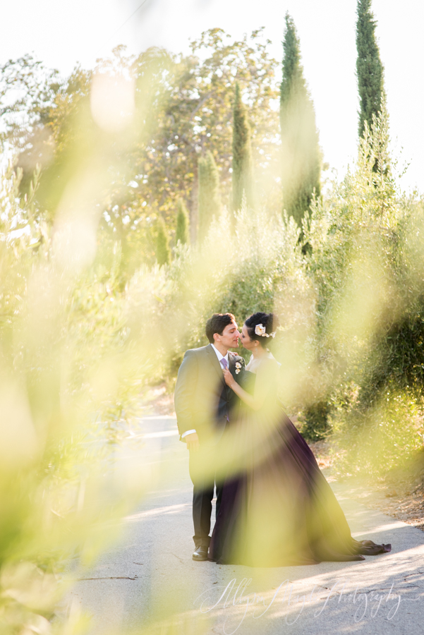paso robles winery wedding photographer