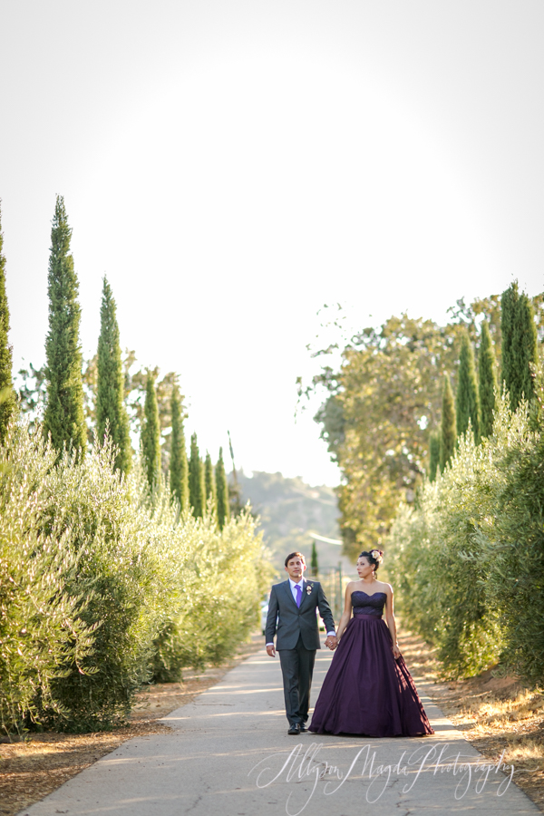 paso robles winery wedding photographer