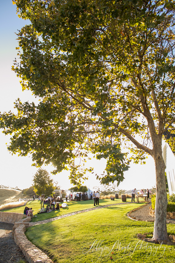 lekai-ranch-wedding-paso-robles-0035