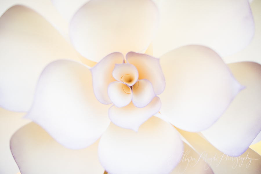 lekai-ranch-wedding-paso-robles-0037